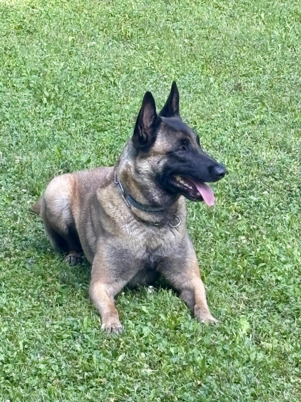 CS Polizei 23 07 2025 Alpha ruht