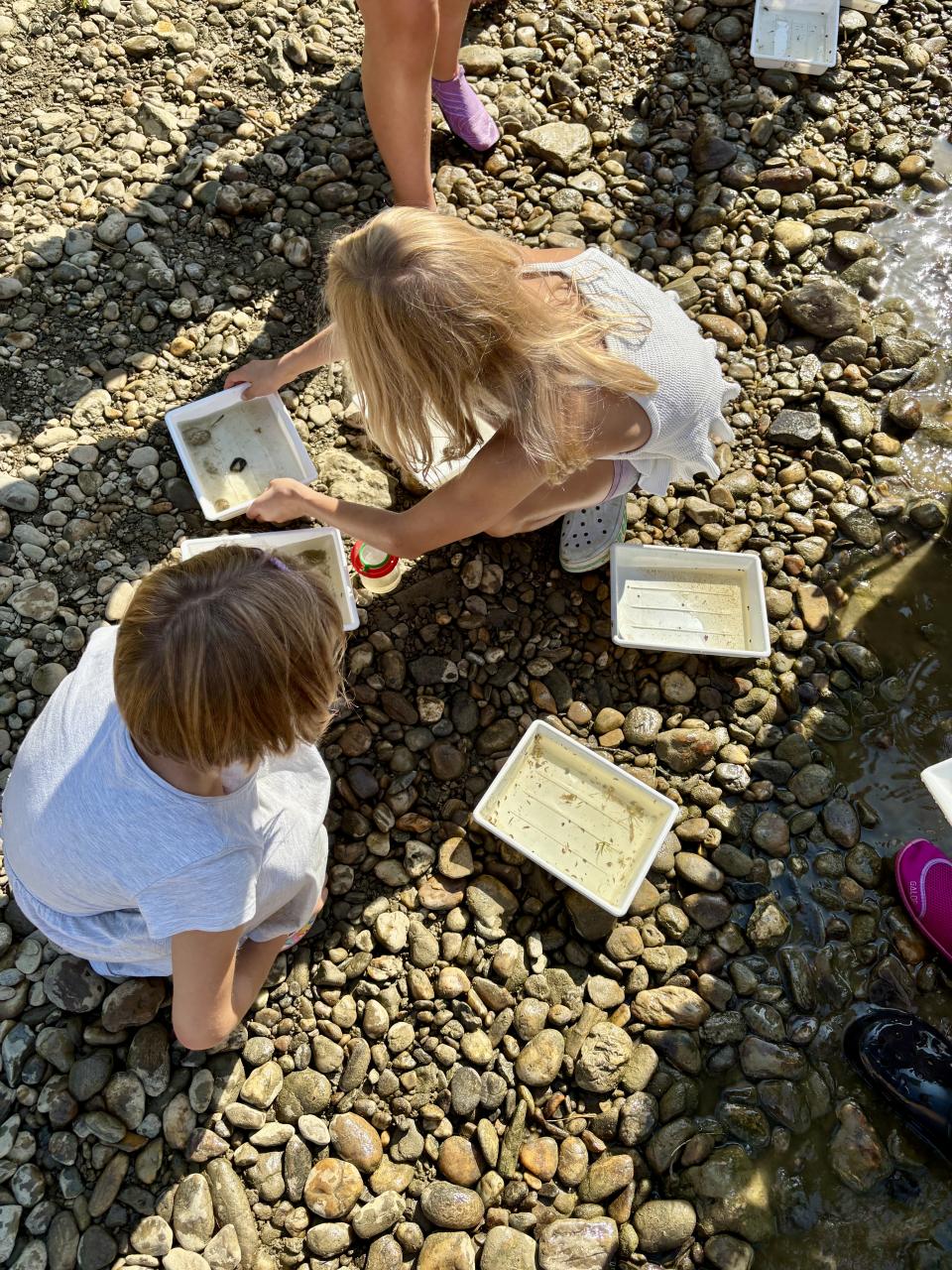 CS 13 08 2025 Sophia und Sarina mit Tabletts von oben