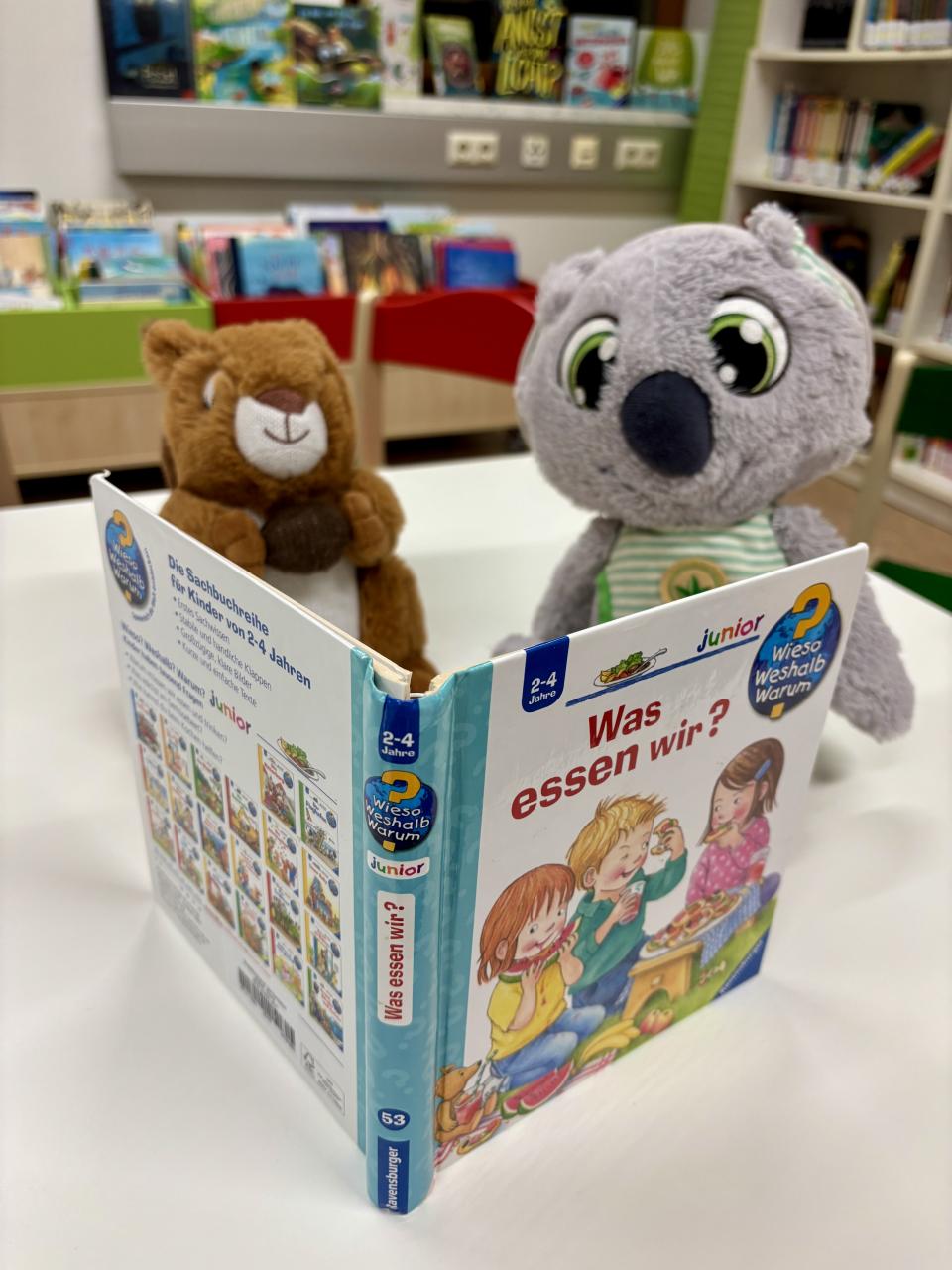 Kuscheltierübernachtungsparty Eichhörnchen und Koala lesen