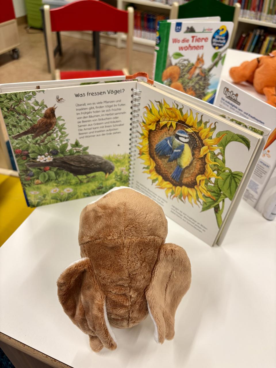 Kuscheltierübernachtungsparty Eule liest ein Buch über Vögel