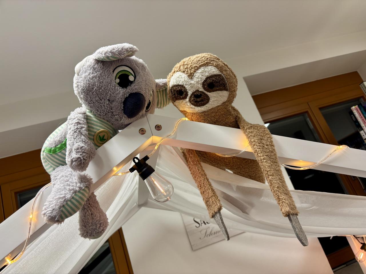 Kuscheltierübernachtungsparty Koala und Faultier hängen vom Baldachin