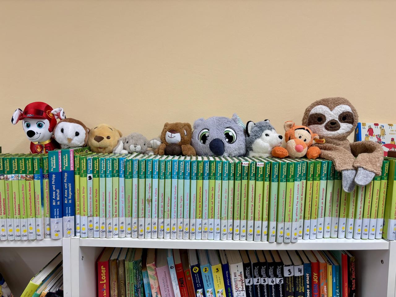 Kuscheltierübernachtungsparty Tiere hinter Büchern aufgereiht frontal