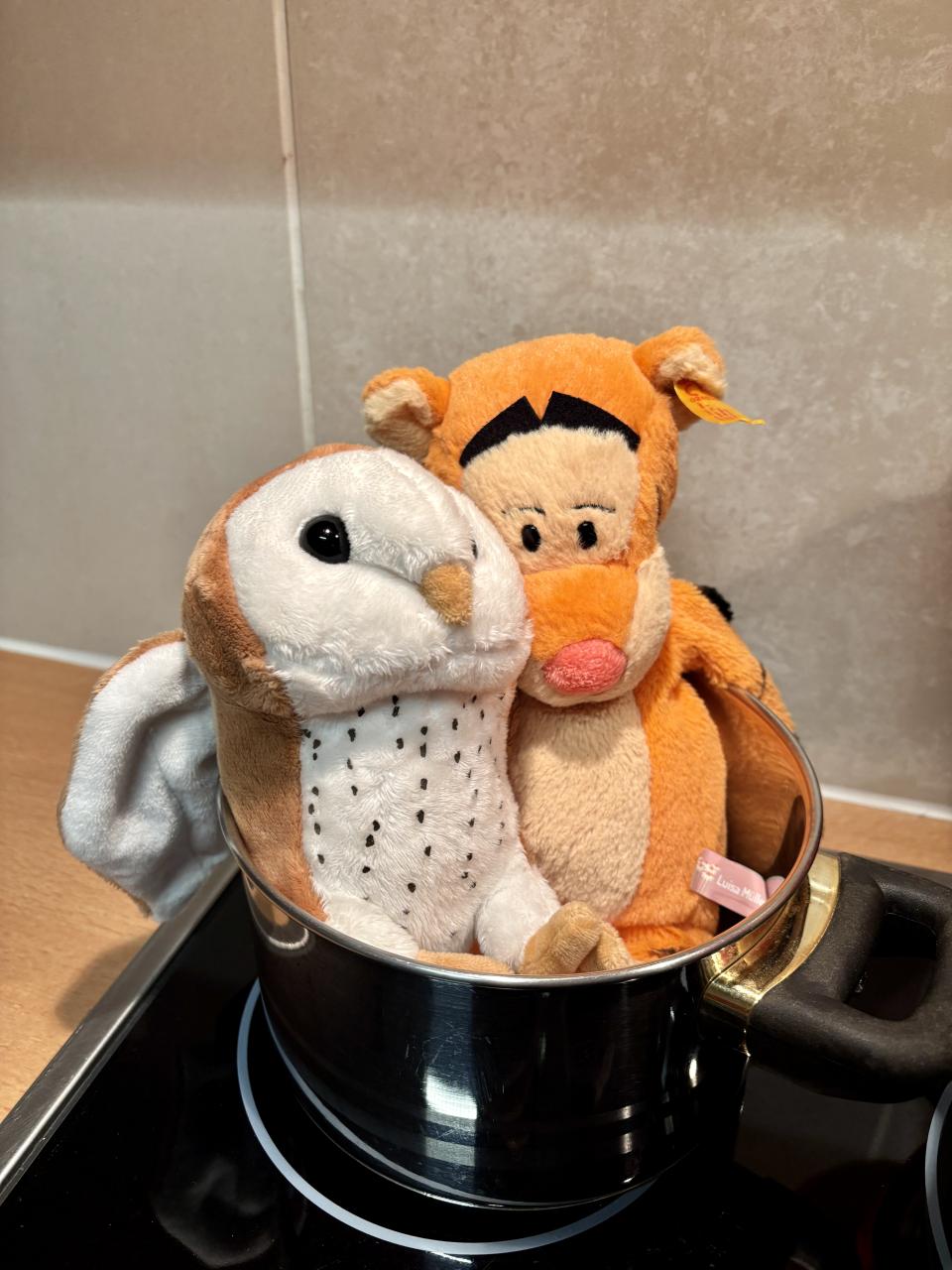 Kuscheltierübernachtungsparty Tigger und Eule im Kochtopf