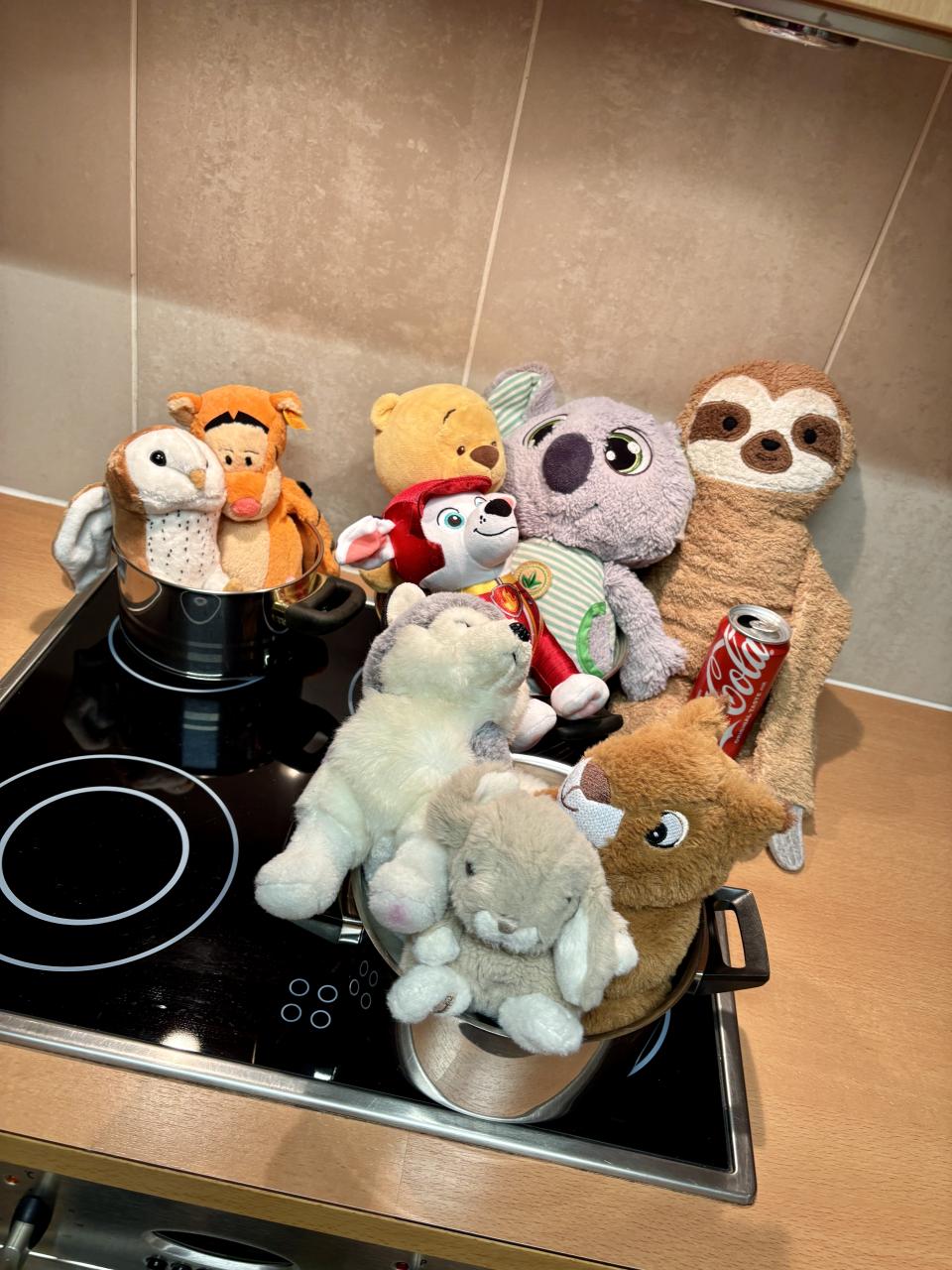 Kuscheltierübernachtungsparty die Küchenmannschaft